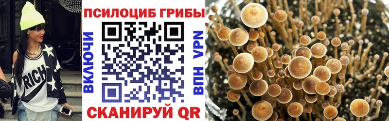 Псилоцибиновые грибы Magic Shrooms Киренск